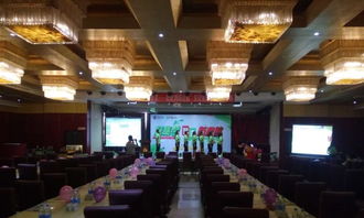 力揚(yáng)文化傳播公司 以專業(yè)策劃助力文化藝術(shù)交流與展覽